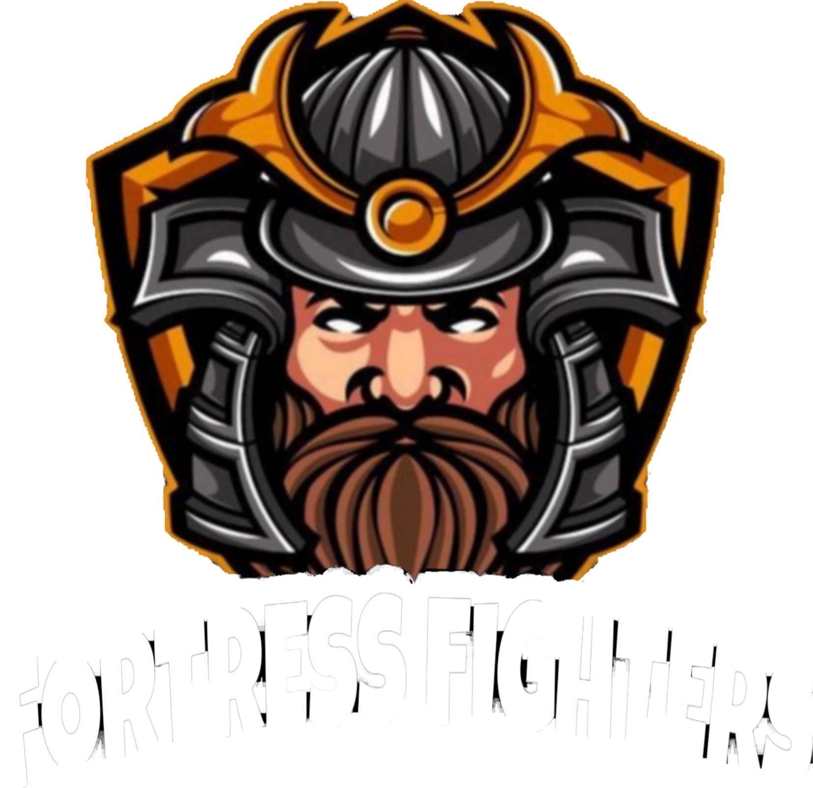 CLAN FORTRESS FIGHTERS