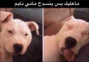 whjsijqiajakIjasdyrere