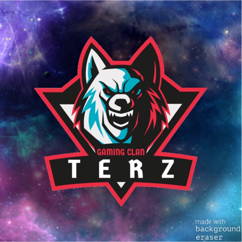 Clan TeRz