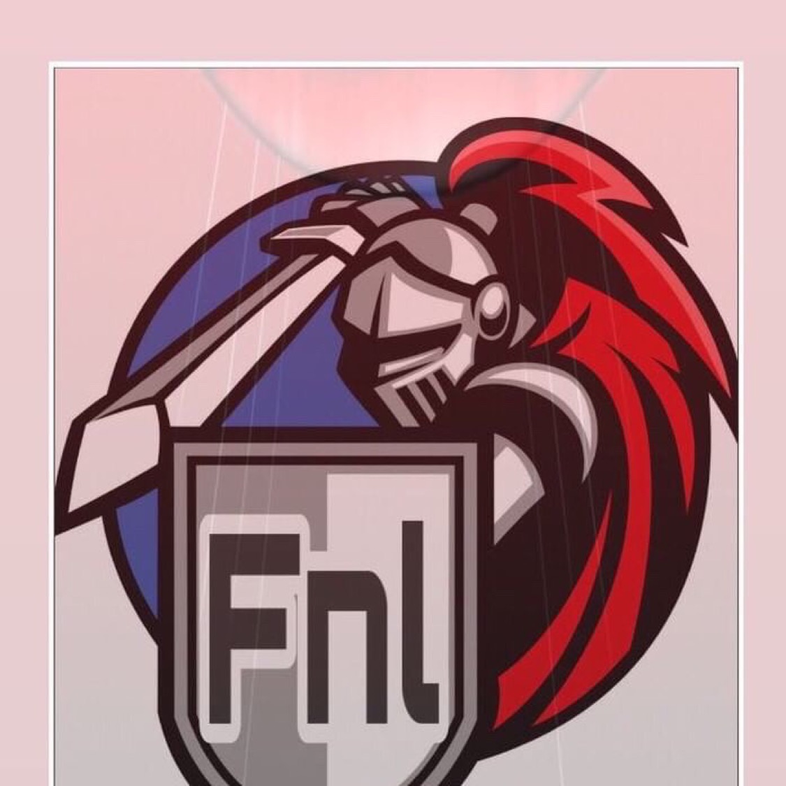 Fnl.esports1