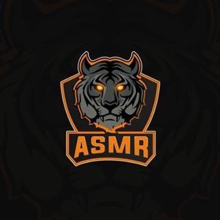 ASMRESPORTSs