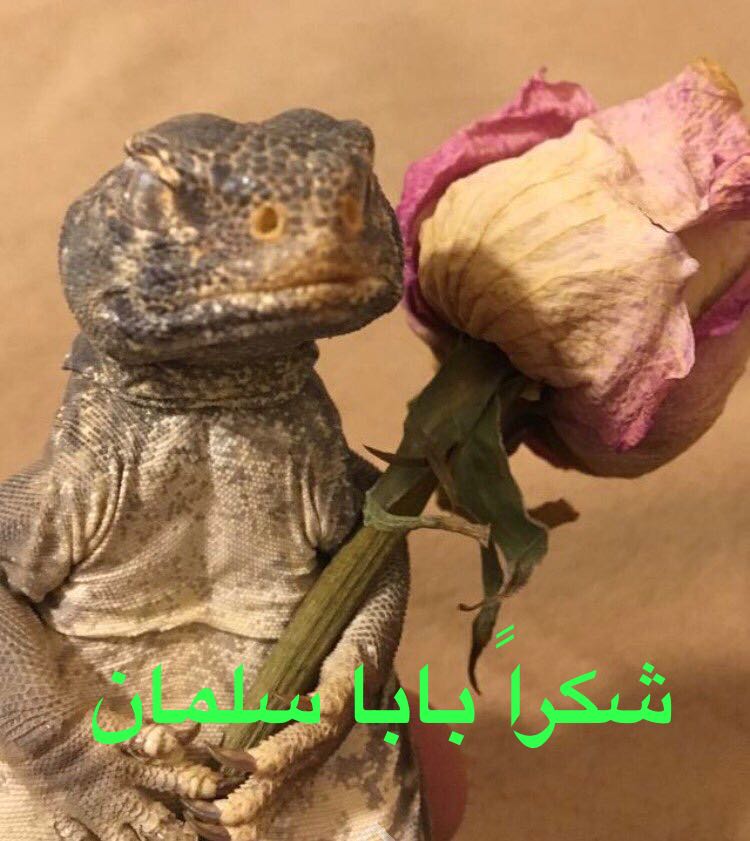 ZZAdbz