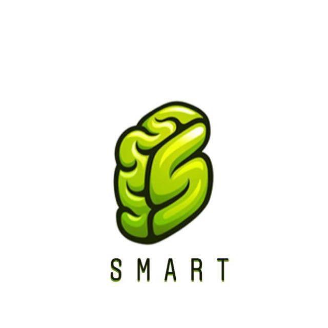 Team Smart