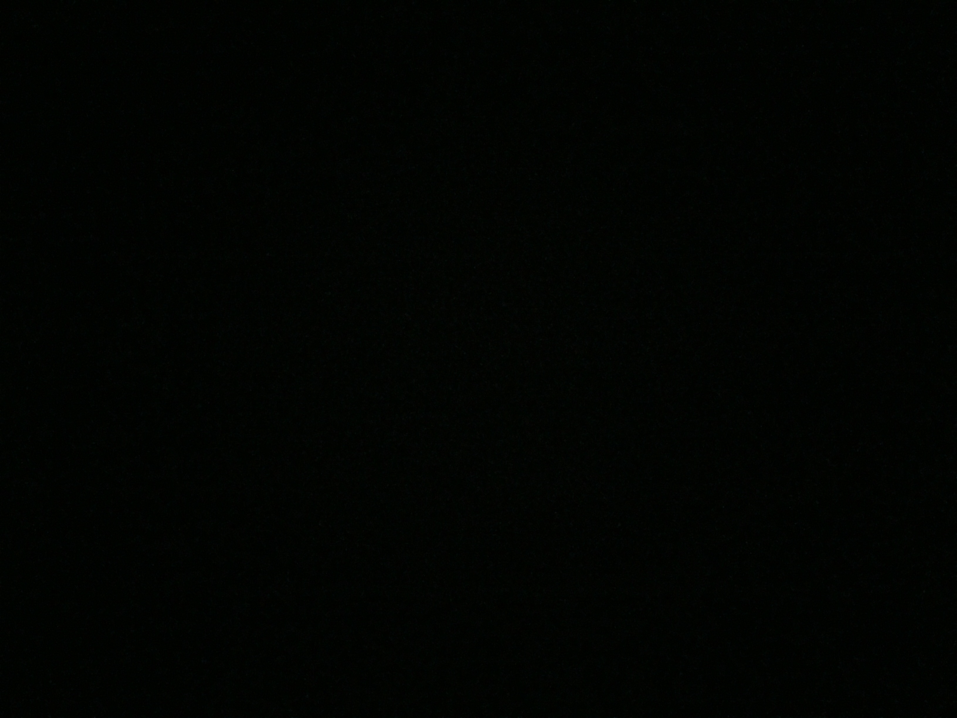 IbulT