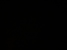 Invitation Banner