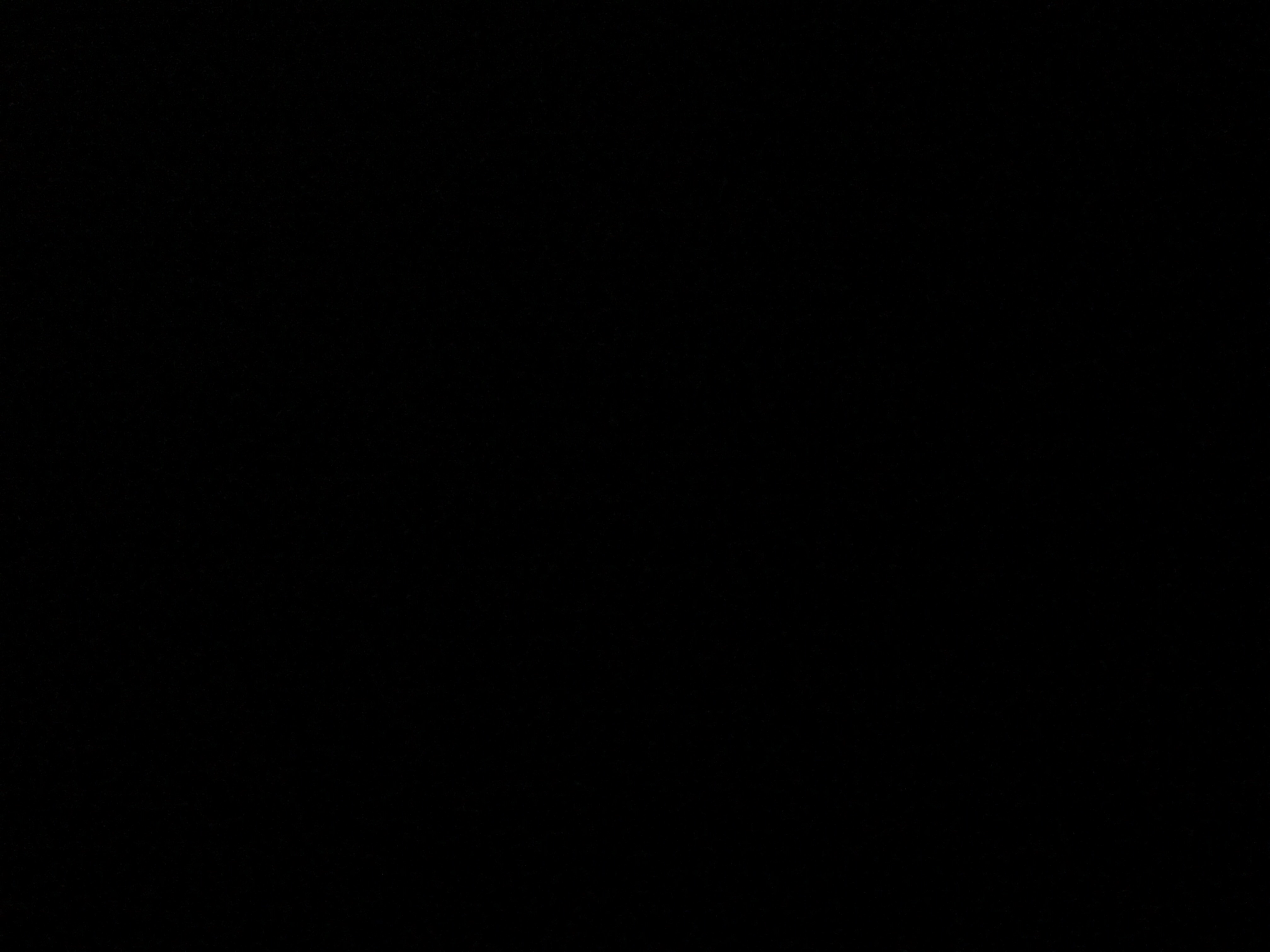 jahshdhd
