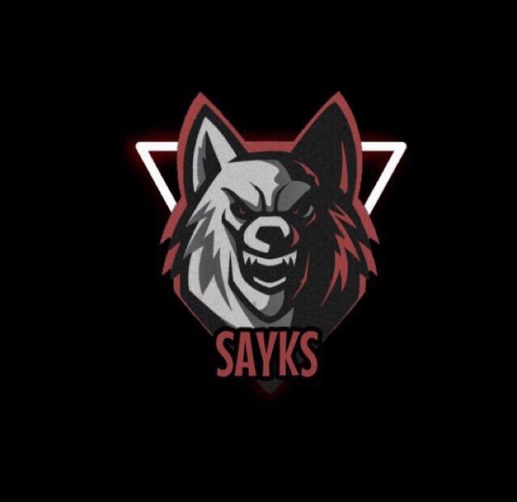 sayks 22
