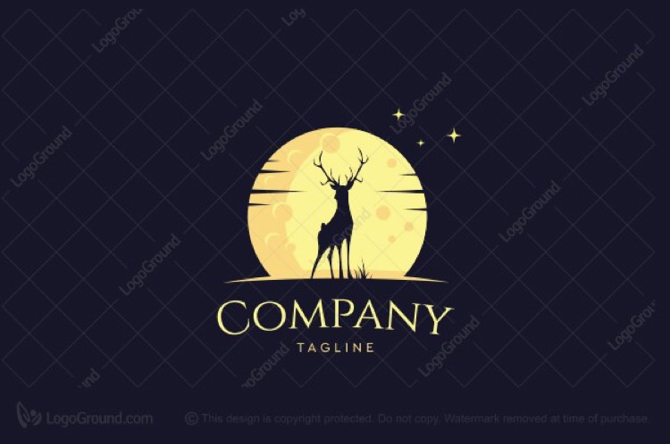 Company