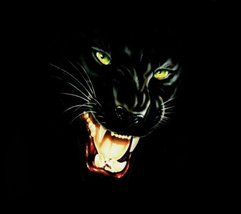 The Tigers