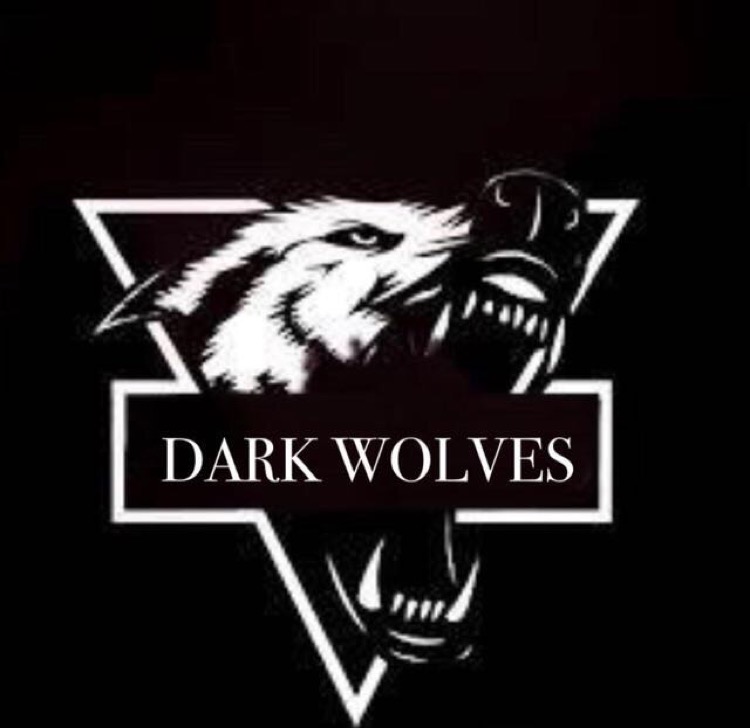 DarkWolves4