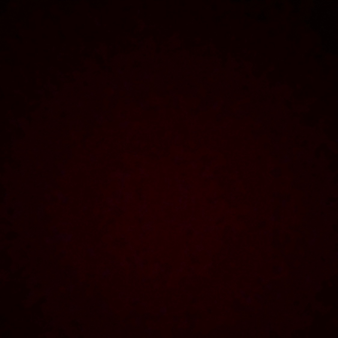 evil03939