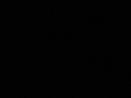 BlackWolvesFc