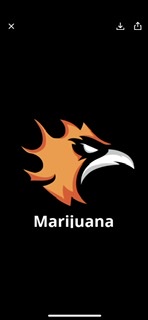 Natus Vincere