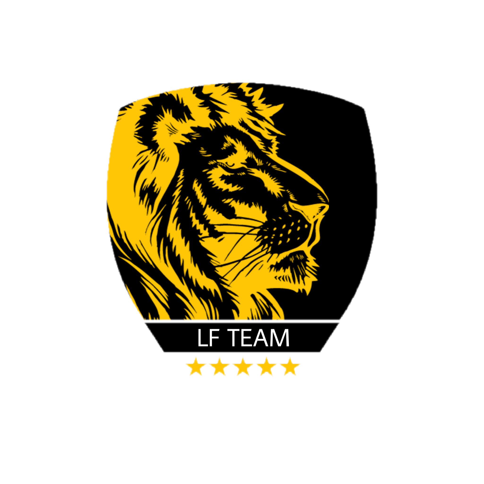 LF TEAM