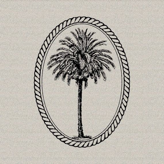 ARC3