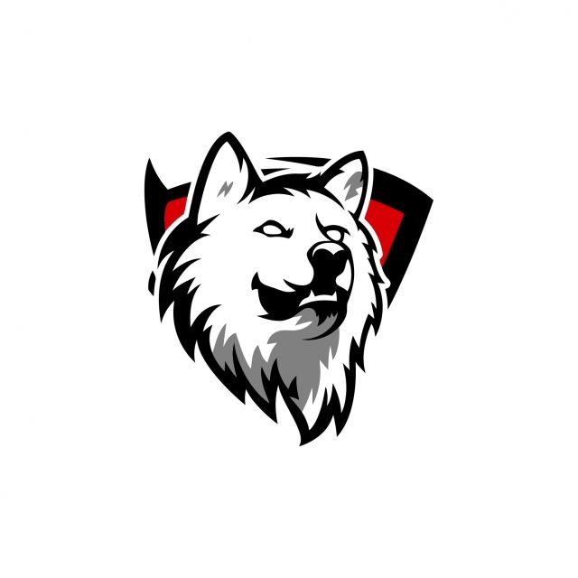 Natus Vincere