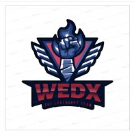 WEDX esport