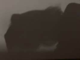 Invitation Banner