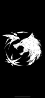 Natus Vincere