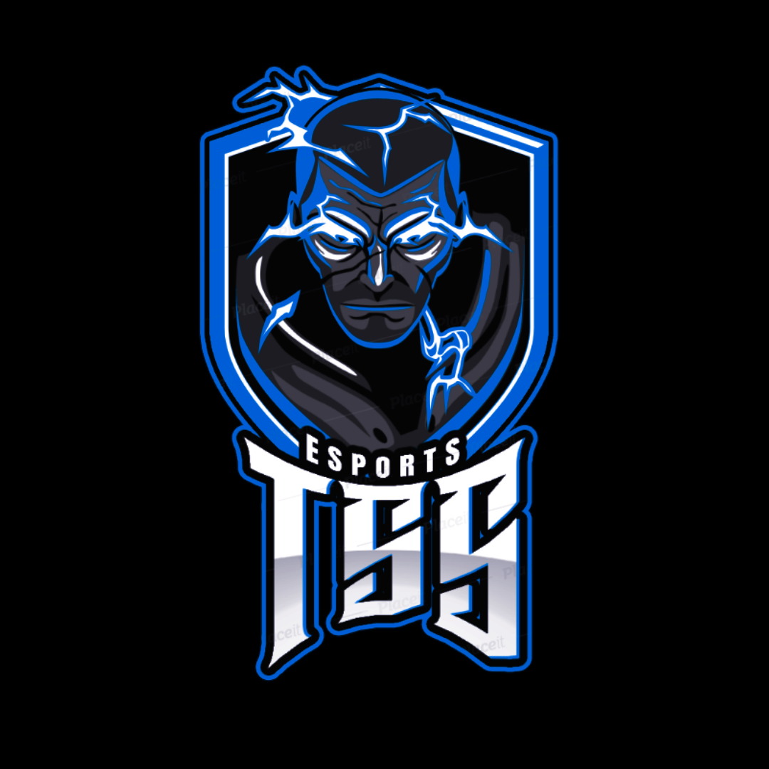 TssEsports
