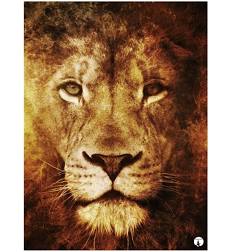 Invitation Banner