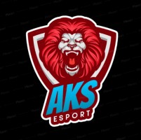 FDF esport