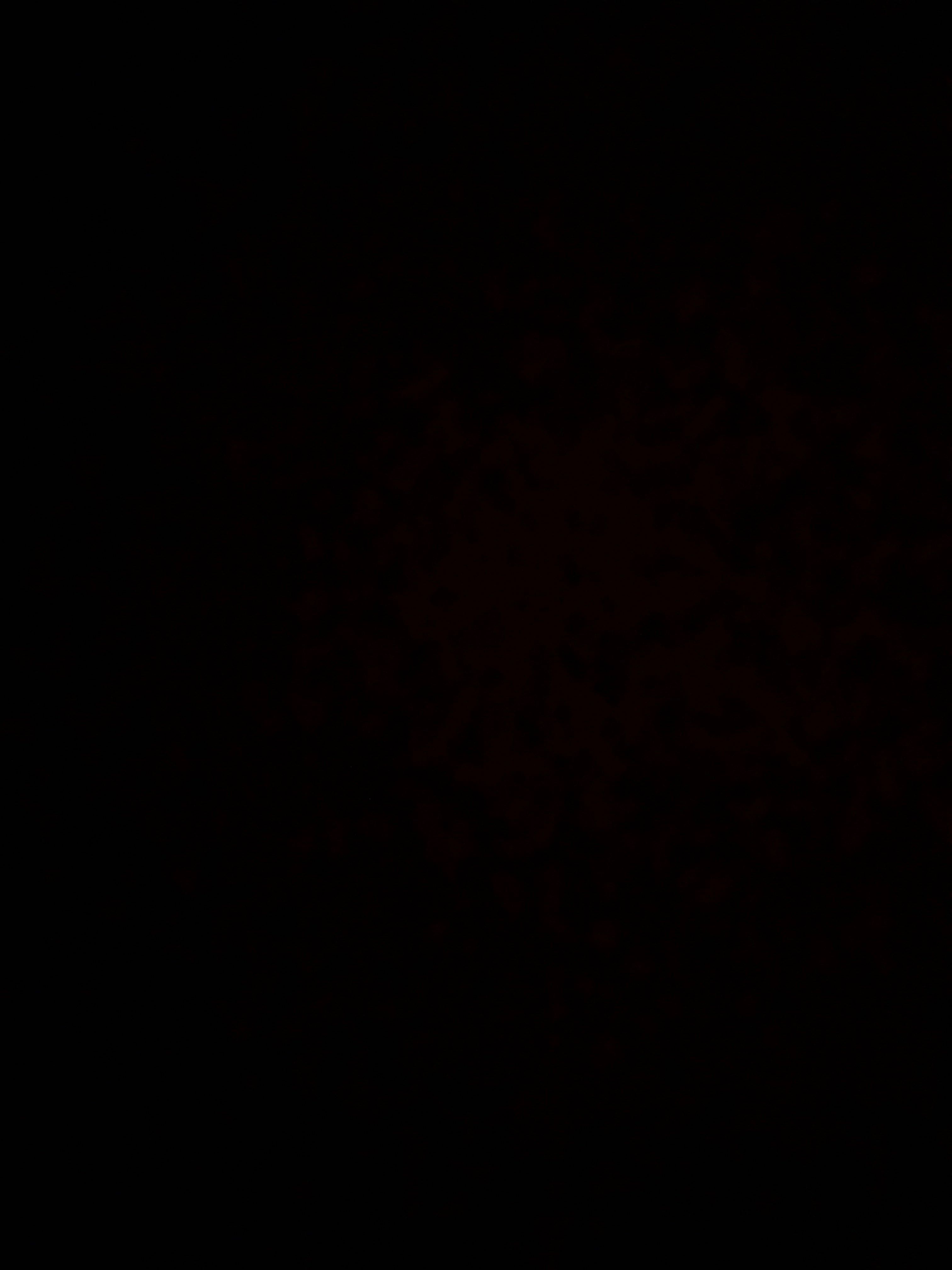 Invitation Banner