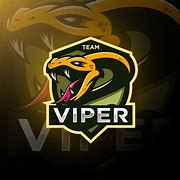 Natus Vincere