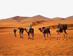 Sons of the desert
