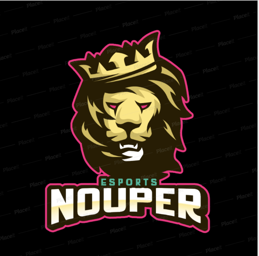 Nouper Esports