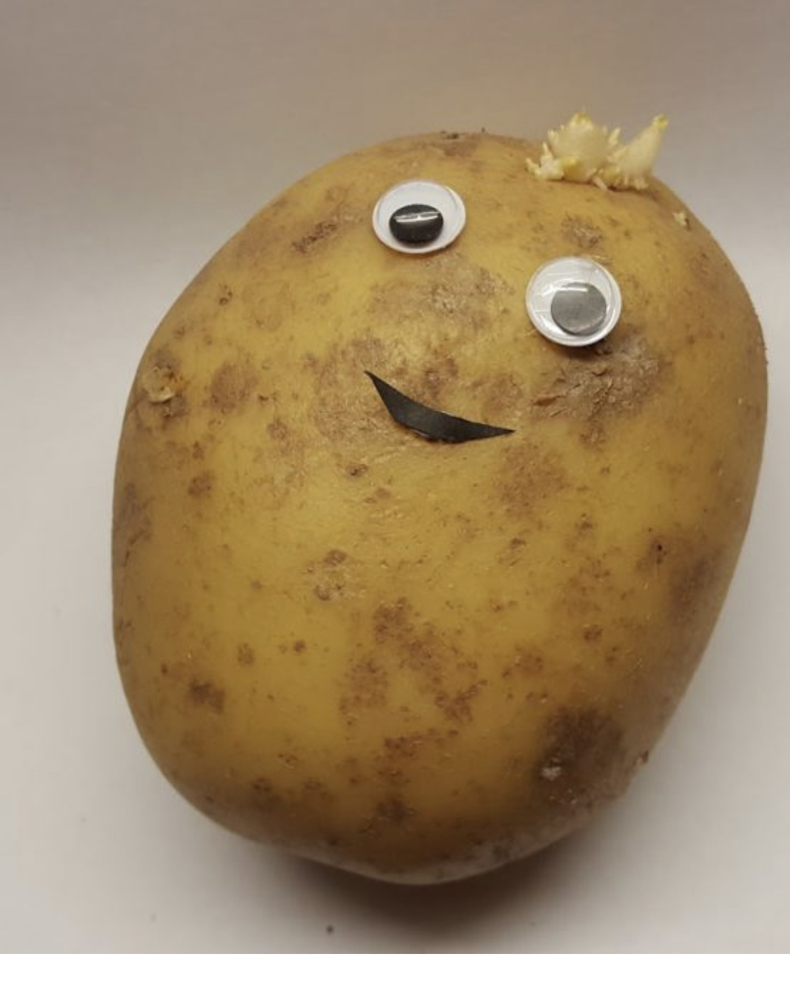 Couch Potatox