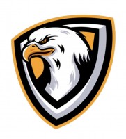 sEsports