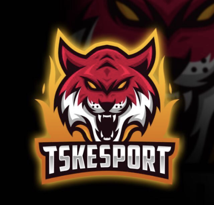 TSKesportss