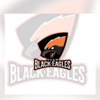 Black Eagles