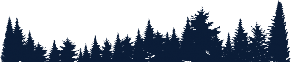 Invitation Banner