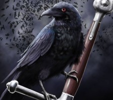 PARROT TEAM