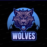 WE ARE WOIVES
