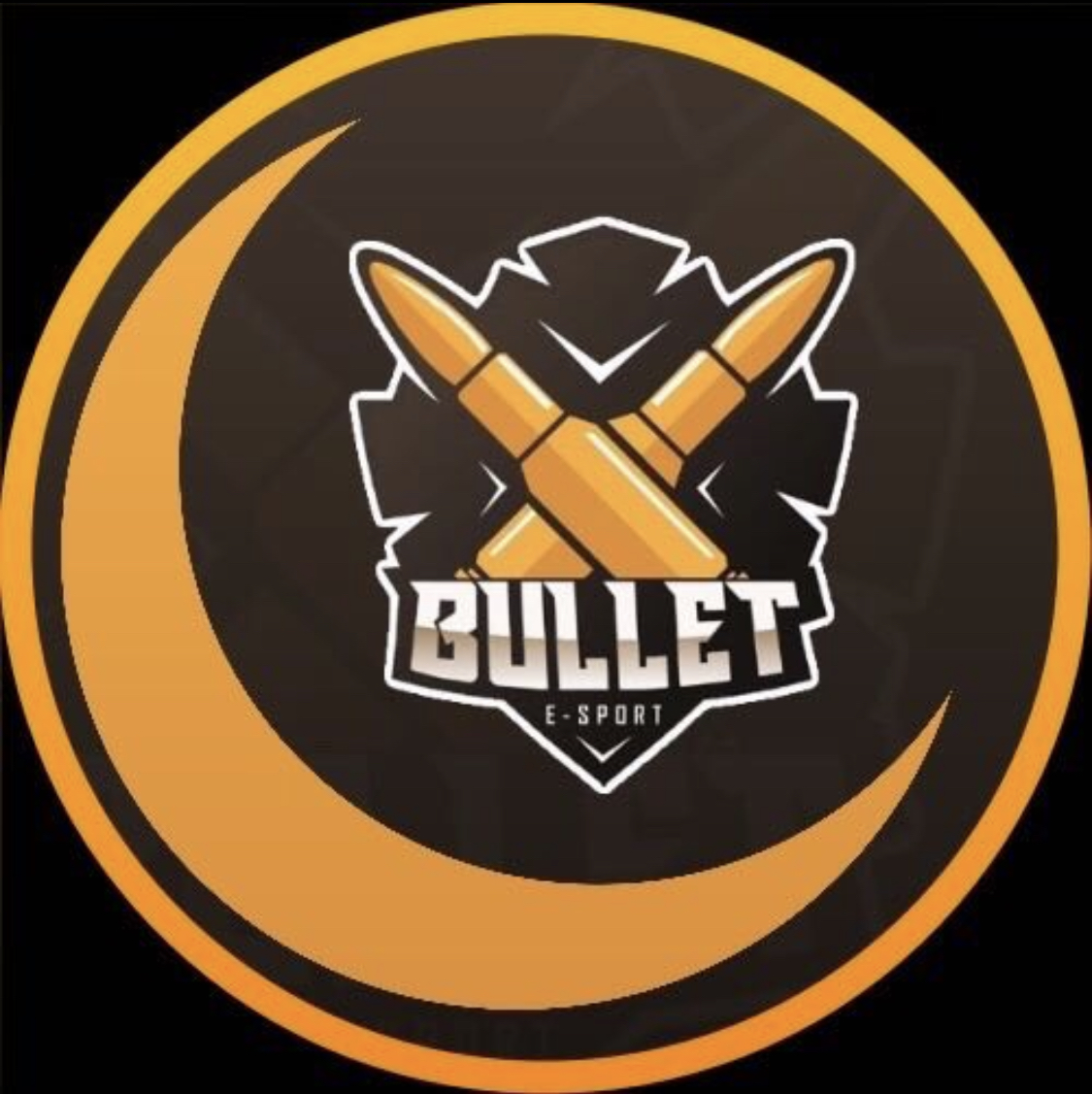 Bulletsport