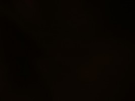 Natus Vincere