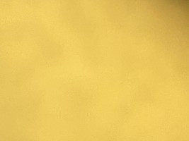 Invitation Banner