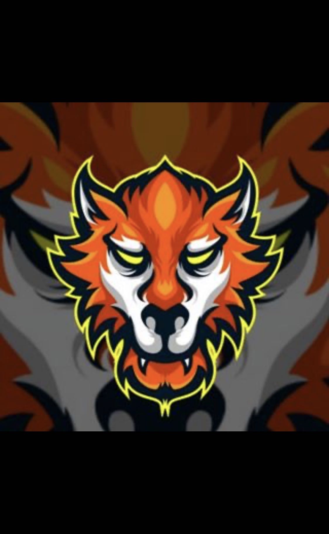 Natus Vincere