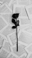 Invitation Banner