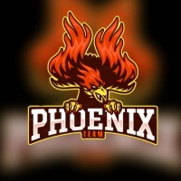 PHOENIX TEAM