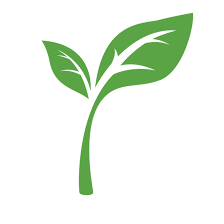 green leaf