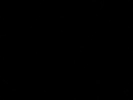 Ccvg