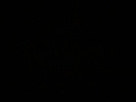 Invitation Banner