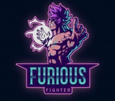Furious fighters