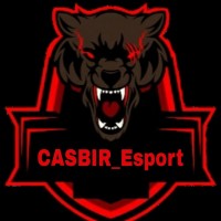 CASBIResport