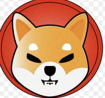 SHIBA