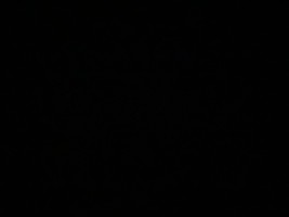 Invitation Banner